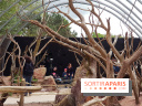 Zoo de Thoiry 2018 : les photos