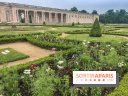 Jean Cotelle, l'exposition au Grand Trianon de Versailles