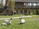 Les Lalanne à Trianon : exposition de sculptures en plein air au Château de Versailles