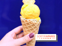 Glaces Senoble
