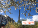 Visuel Paris, Tour Eiffel printemps