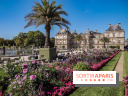 Visuel Paris Jardin du Luxembourg