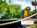 Parrot World, le parc animalier immersif d'Île-de-France