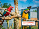 Parrot World, le parc animalier immersif d'Île-de-France