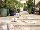 Cours de pilates en plein air et aperitivo sur la terrasse d'un hotel parisien