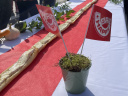 Brie Happy 2026 : animations gratuites et dégustations de fromage, à Meaux (77)