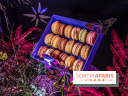 Bûches de Noël de Pierre Hermé 2021 et galettes 2022