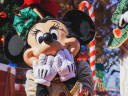 Mickey et Minnie font leur show