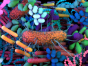 Mes microbes du ventre : une exposition ludique et gratuite pour découvrir son microbiote en famille