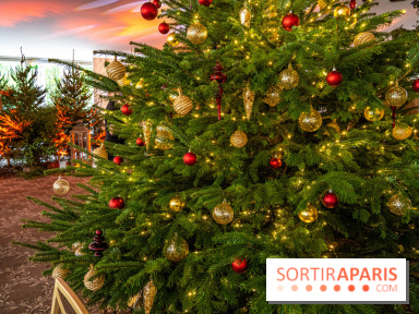 Visuels Noël - sapin