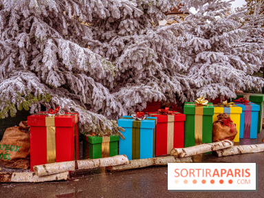 Noël Paris visuels - cadeau Noël