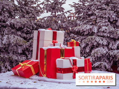 Noël Paris visuels - cadeau Noël