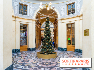 Noël Paris visuels - cadeau - sapin - Marché de Noël - cadeau de Noël - décoration -  A7C9121