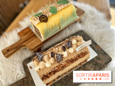 Bûches de Noël végétales des maisons Landemaine et Land&Monkeys