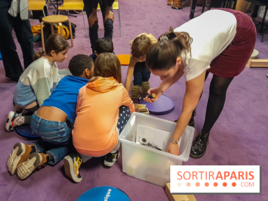 Musicanimale, l'exposition à la Philharmonie