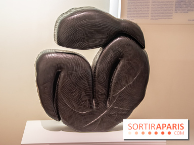 Carte Blanche à Wang Keping au Musée Guimet - nos photos