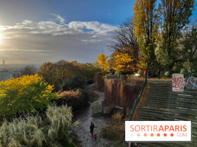 Visuels - Parc de Belleville en automne