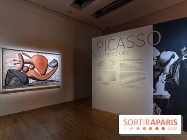 Picasso et la Préhistoire, les photos de l'exposition au Musée de l'Homme