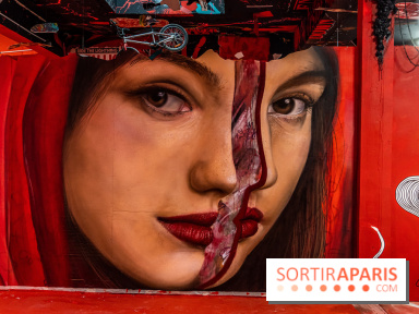 Colors festival 2023, l'exposition street-art immense en photos