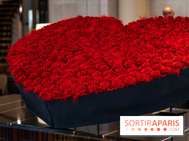 Saint-Valentin visuel saint Valentin