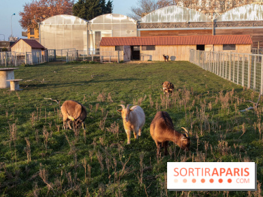 Fermes de Gally - Saint Denis - 121E8A17 ECDB 4F1B 90A8 CF8CA8E2C832