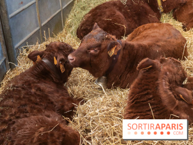 Salon de l'agriculture 2023 - 20230227154759 IMG 3915