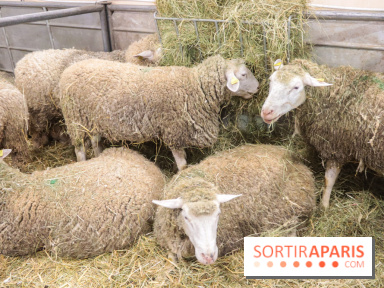 Salon de l'agriculture 2023