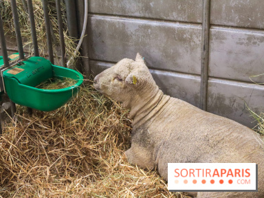 Salon de l'agriculture 2023