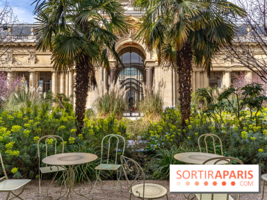 Petit Palais - Collection permanente  -  jardin