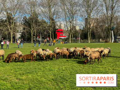 Transhumance à la Villette - 0A0601BF B46E 4CB3 8C5C 8FCED47E3559