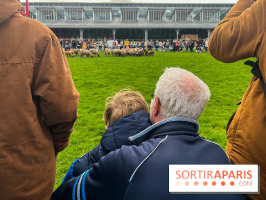 Transhumance à la Villette - C455CCC6 0ADA 4DBE 94CA DA1F5783DC69