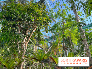 Le Jardin des Serres d'Auteuil - IMG 1552