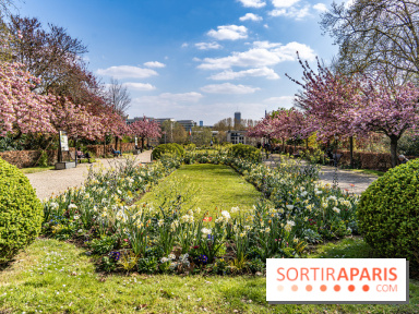 Parc de Bécon à Courbevoie - Pavillon des Indes - Cerisiers en fleurs -  A7C0020