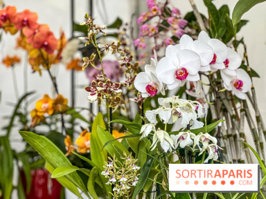 Esprit Jardin à Versailles - Marché aux plantes et animations