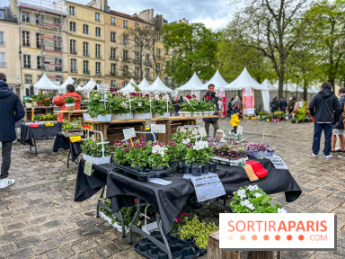 Esprit Jardin à Versailles - Marché aux plantes et animations