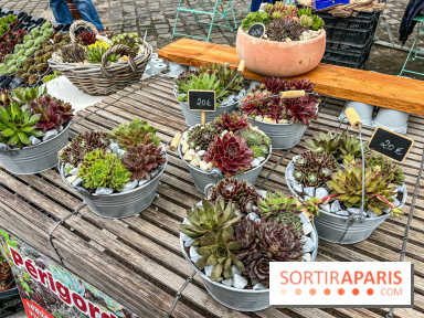 Esprit Jardin à Versailles - Marché aux plantes et animations