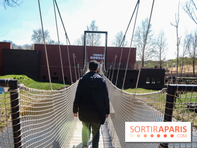 Zoo de Thoiry 2023 - Terre des gorilles