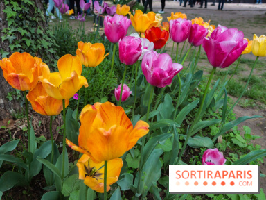 Wat Thammapatip Inrernational : la pagode bouddhiste et sa street food thaï, à Moissy-Cramayel - 50F5D52D D5E6 4A7B 9504 9907D05269BF