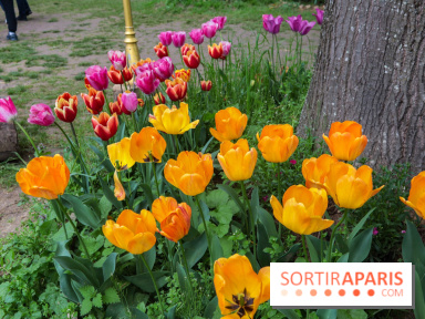 Wat Thammapatip Inrernational : la pagode bouddhiste et sa street food thaï, à Moissy-Cramayel - 99FD4B48 6186 4387 98E1 8653B6C21110