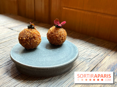 Géosmine - Croquettes de rillettes