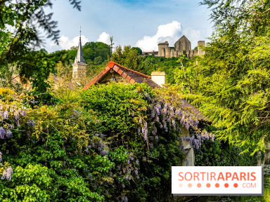 Le Château de la Madeleine à Chevreuse  -  A7C3910