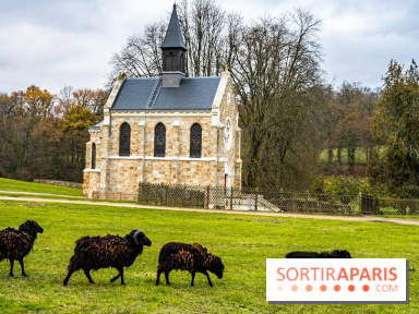 Domaine National de Port-Royal des Champs dans les Yvelines
