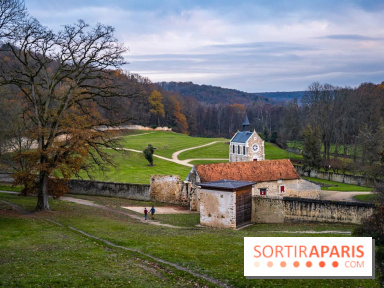 Domaine National de Port-Royal des Champs dans les Yvelines -  A7C3310