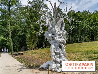 Perchoir Y, restaurant par Guillaume Sanchez et guinguette en forêt