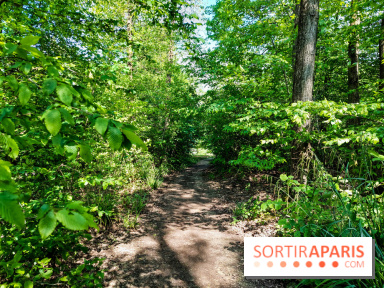 Balade nature dans la forêt de Montmorency, nos photos