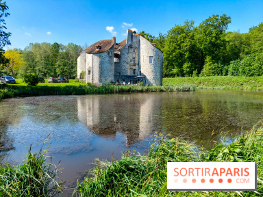 Balade nature dans la forêt de Montmorency, nos photos