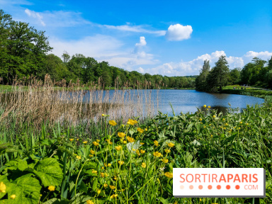 Balade nature dans la forêt de Montmorency, nos photos