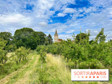 Cergy, la ville aux milles facettes - image00130