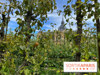 Potager du Roi