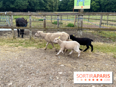 La ferme de Saint-Cyr l'Ecole - image00041